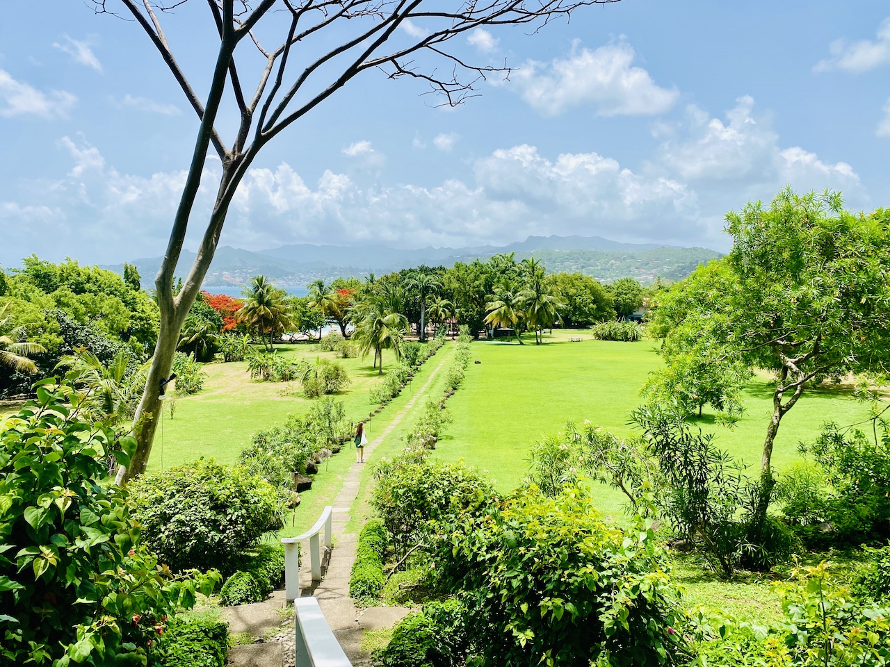 Summertime In Grenada